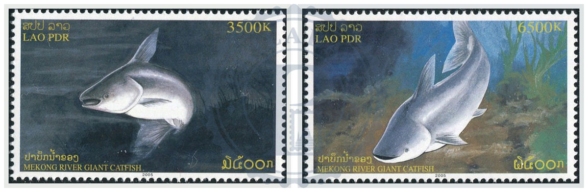 LAOS - Mi 1966/1967 | YT 1590/1591 | Sn 1661/1662 | Sg 1932/1933 - Poisson-chat/Catfish - MNH 2005