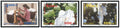 LAOS - Mi 2066/2068 | YT 1686/1688 | Sg 2028/2030 - Coton/Cotton - Plantes/Plants - MNH 2008