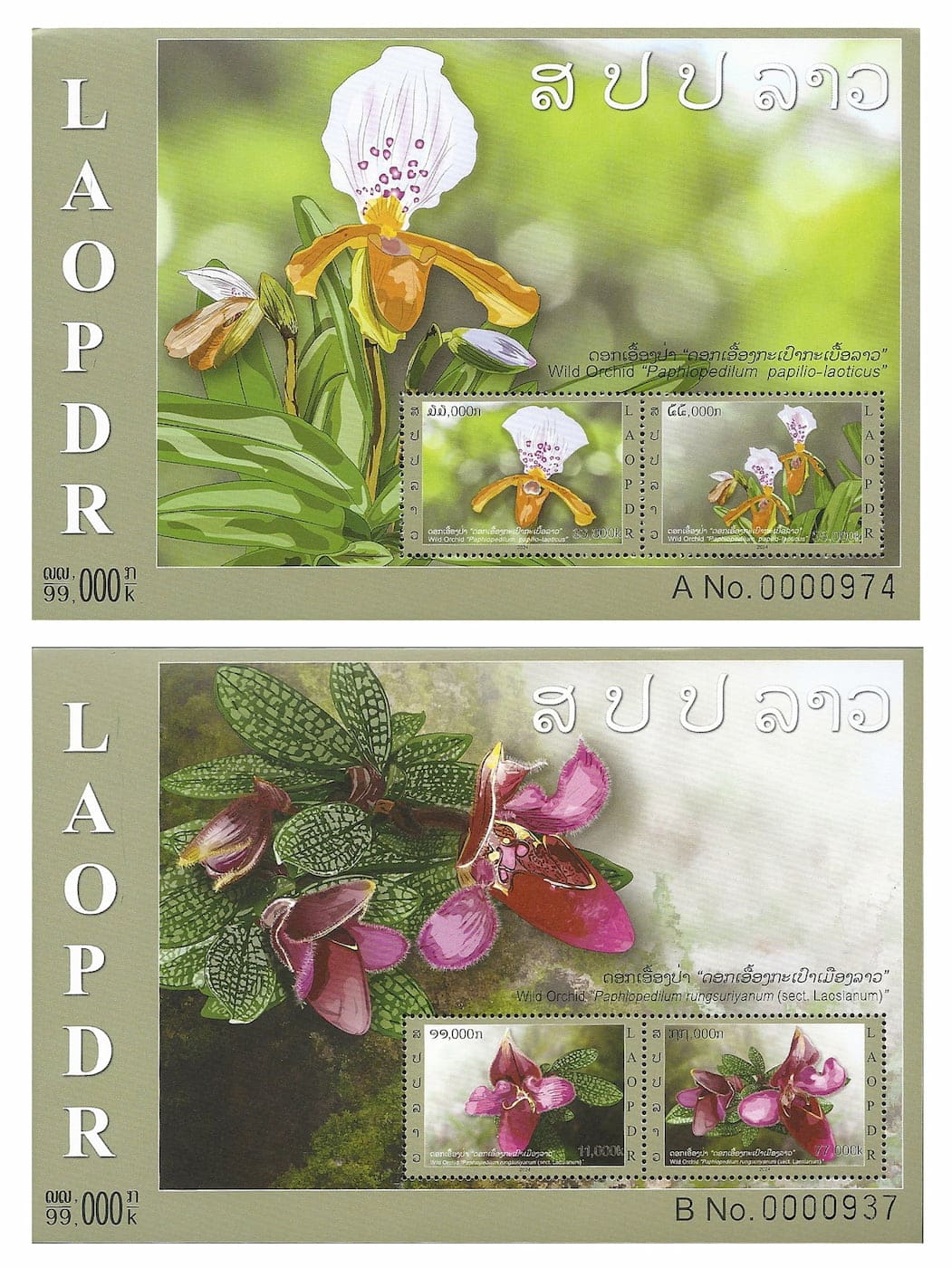 Paire de blocs du Laos avec orchidées sauvages, dentelés, MNH 2024