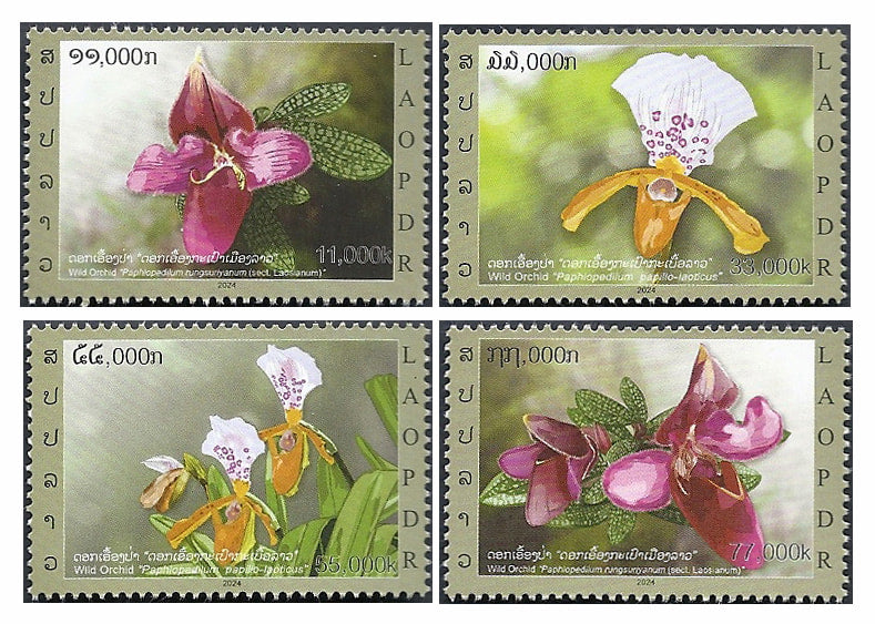 Série de quatre Laos stamps représentant des orchidées sauvages, MNH 2024